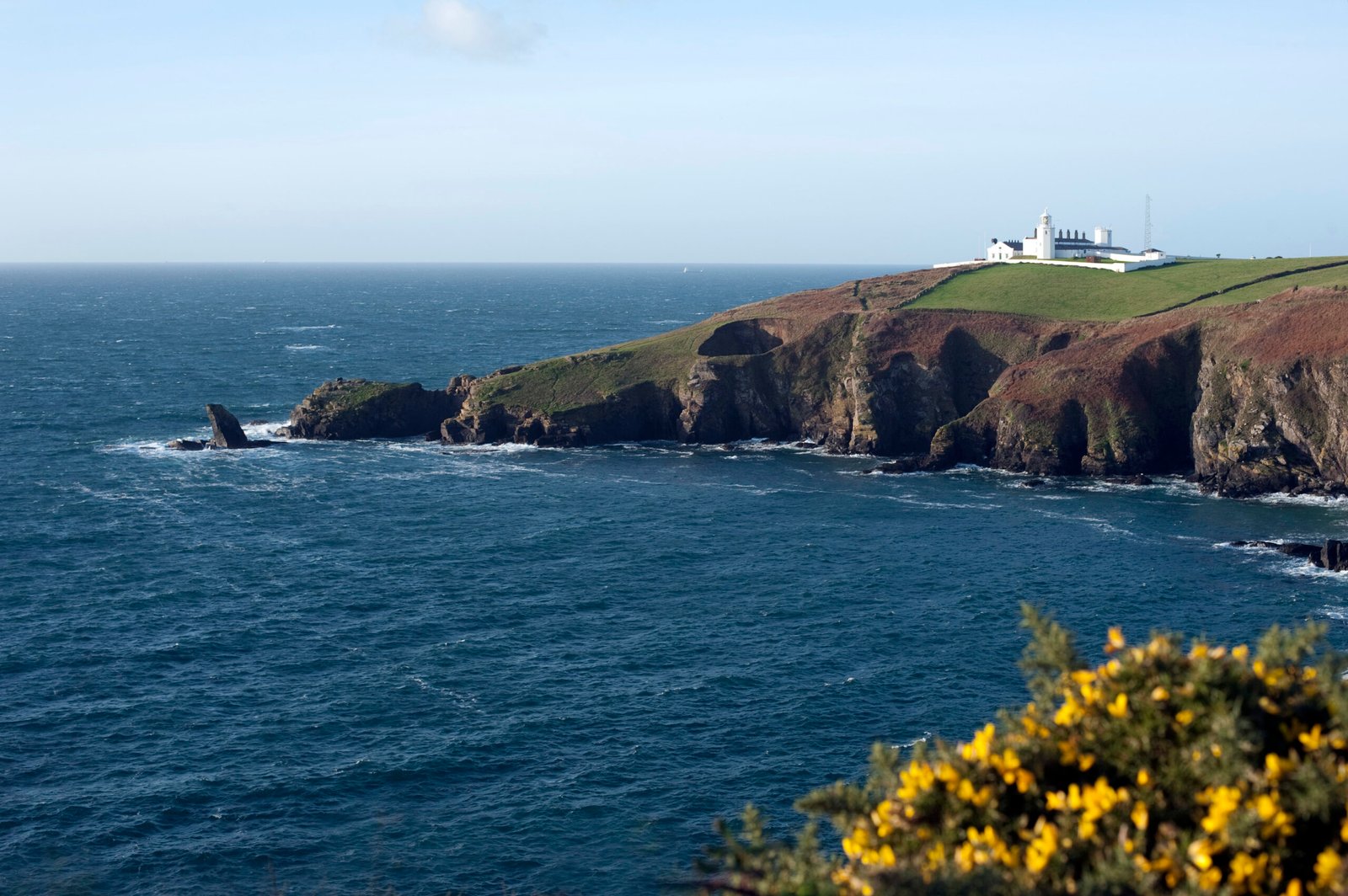 Lizard Point